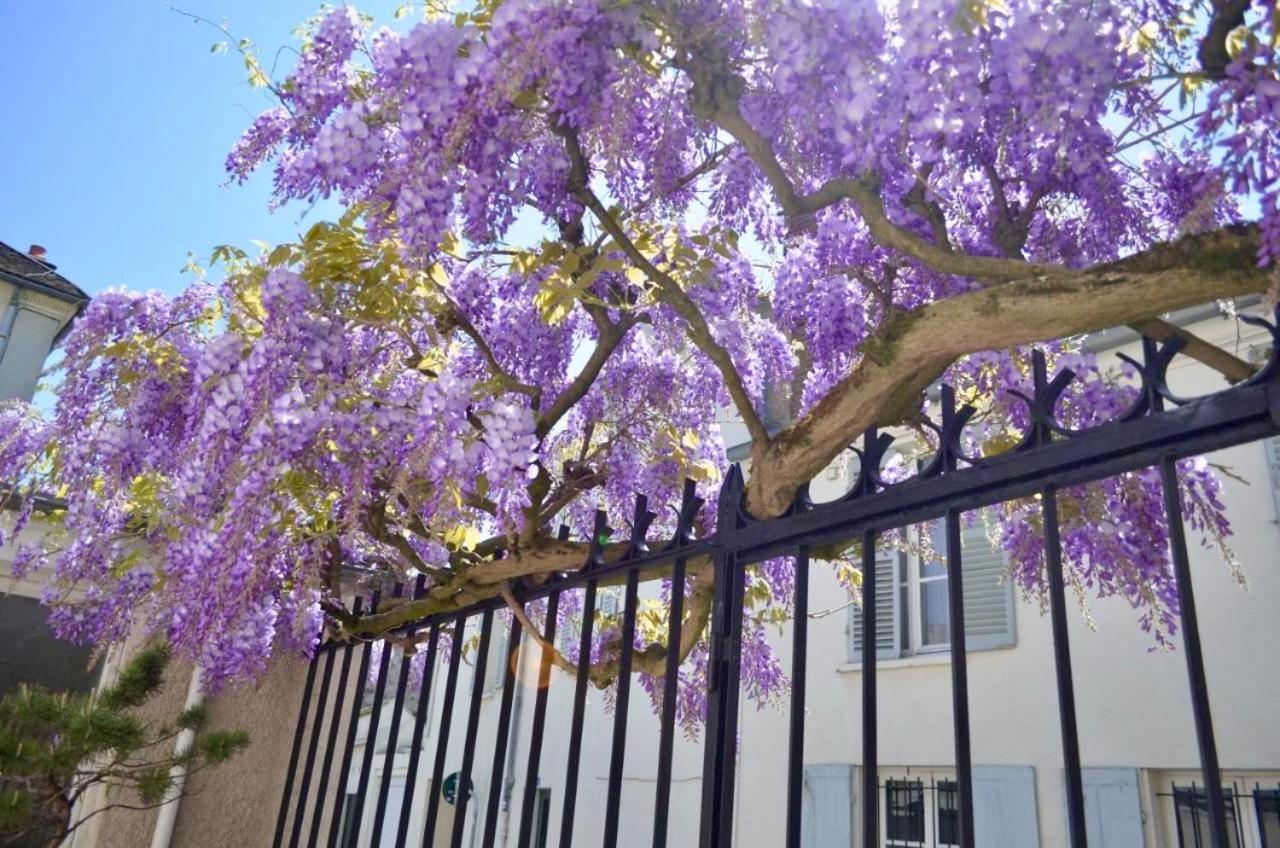 Wisteria Bed and Breakfast Fontainebleau Eksteriør billede