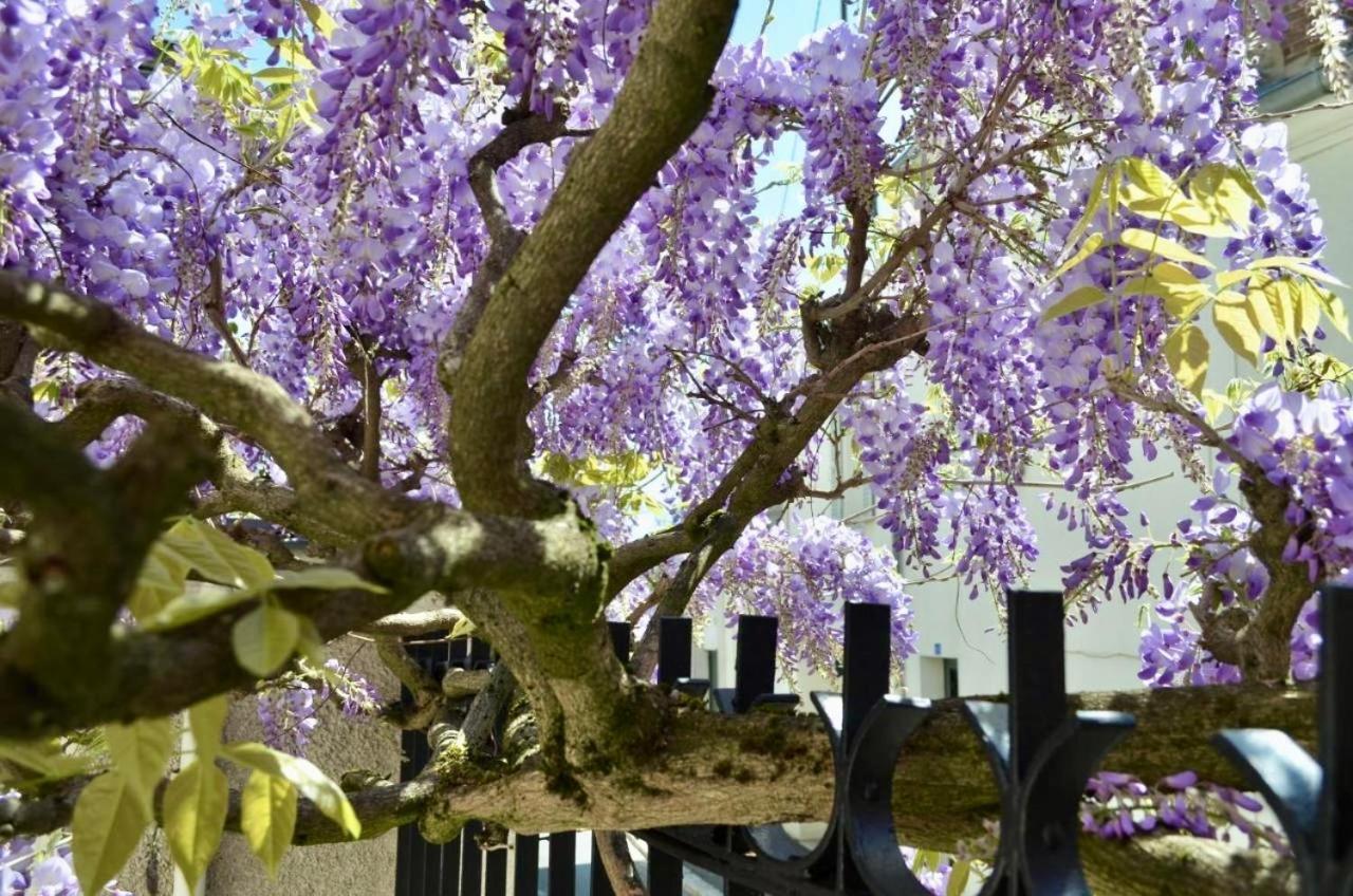 Wisteria Bed and Breakfast Fontainebleau Eksteriør billede